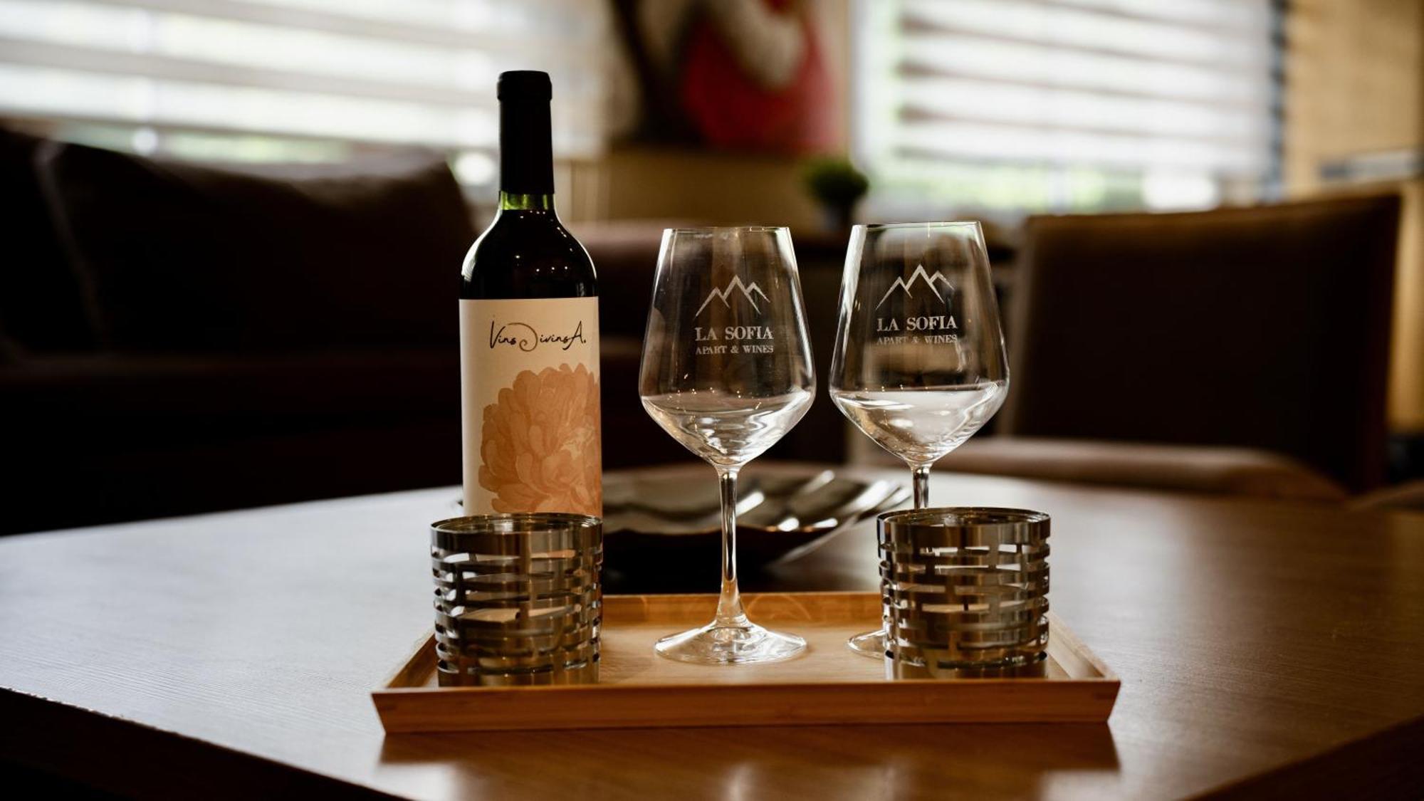 La Sofia Apart & Wines メンドーサ エクステリア 写真