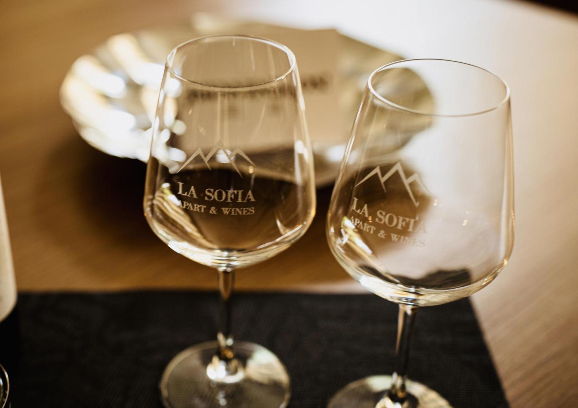 La Sofia Apart & Wines メンドーサ エクステリア 写真